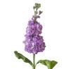 FLOR VARIADA