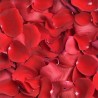 PETALOS