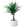 YUCA