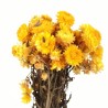 FLOR RELLENO
