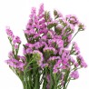 FLOR RELLENO
