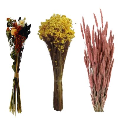 Imagen de flores secas