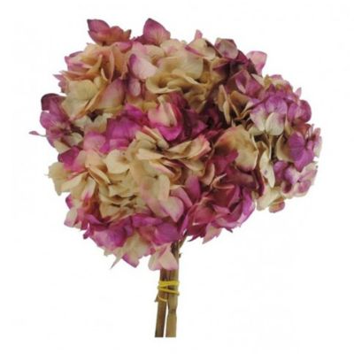 Imagen de Hortensia preservada