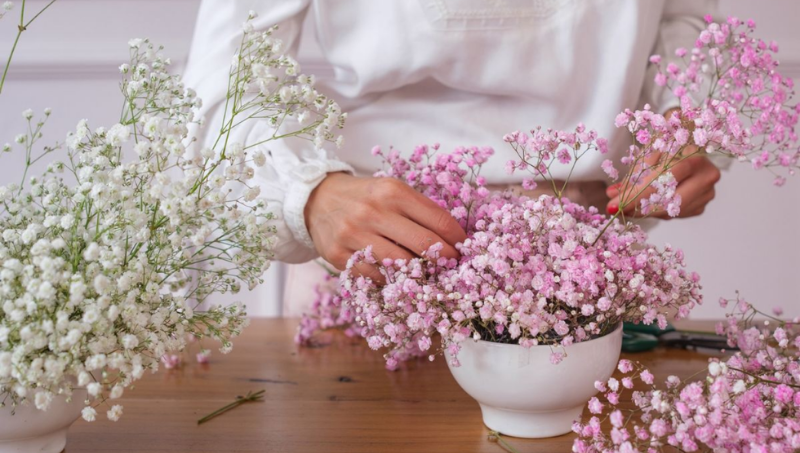 Imagen de Paniculata