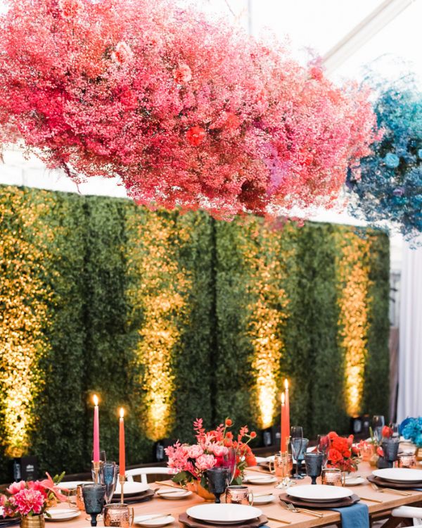 Imagen de decoración paniculata rosa y azul