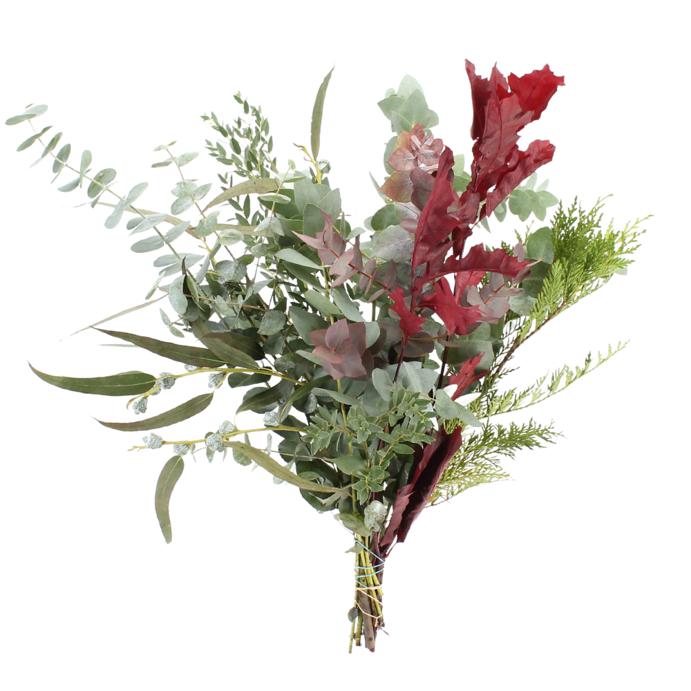 Imagen de ramo verde