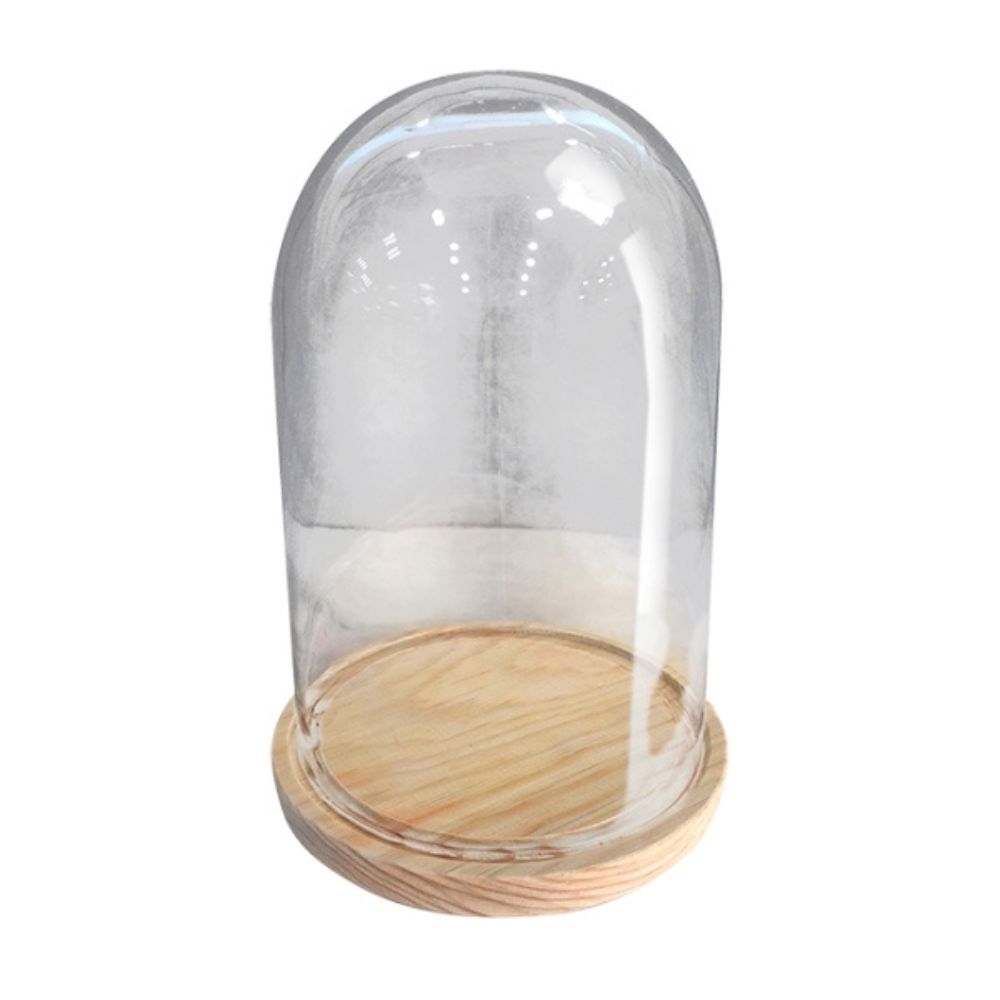 Imagen de campana de cristal