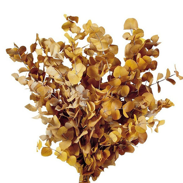 Imagen de ramas verdes preservadas