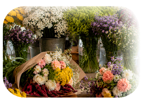 Imagen de flor de relleno