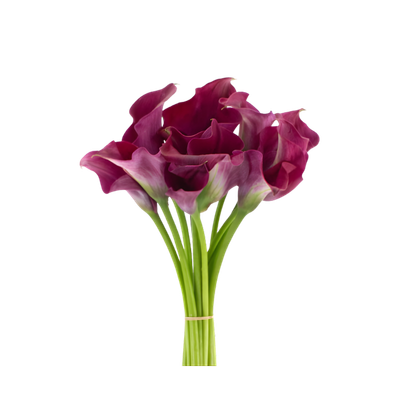 Imagen de flor calla
