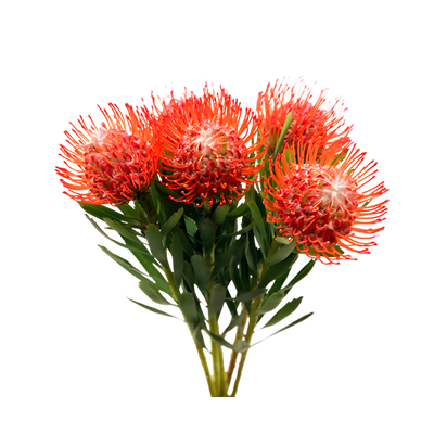 Imagen de flor tropical