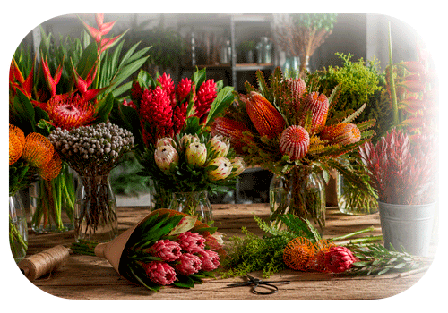 Imagen de flor tropical