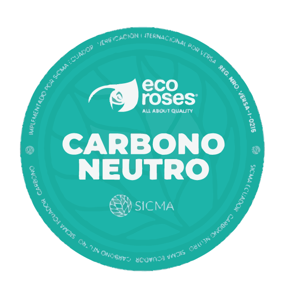 Logotipo Carbono Neutro