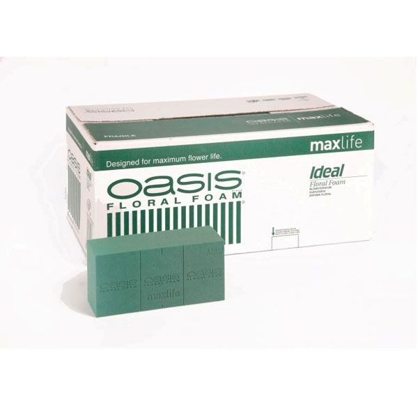 OASIS IDEAL MAXLIFE PASTILLA 23x11x8 cm 20 unds