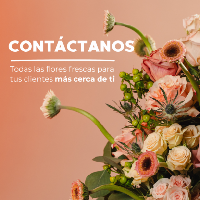 Centro logístico de Gradyflor en Madrid: distribución para mayoristas y delegaciones