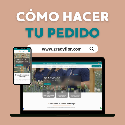 Tu pedido web de forma sencilla