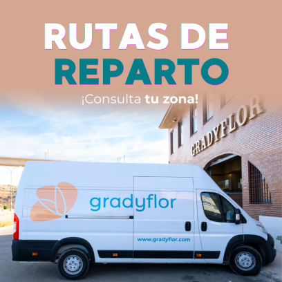 Rutas de reparto