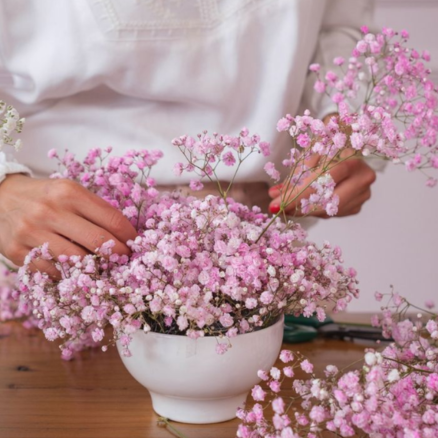 Paniculata: La flor que se roba el show en bodas y eventos