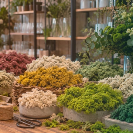 Musgo para Floristerías | Decoración Floral Profesional